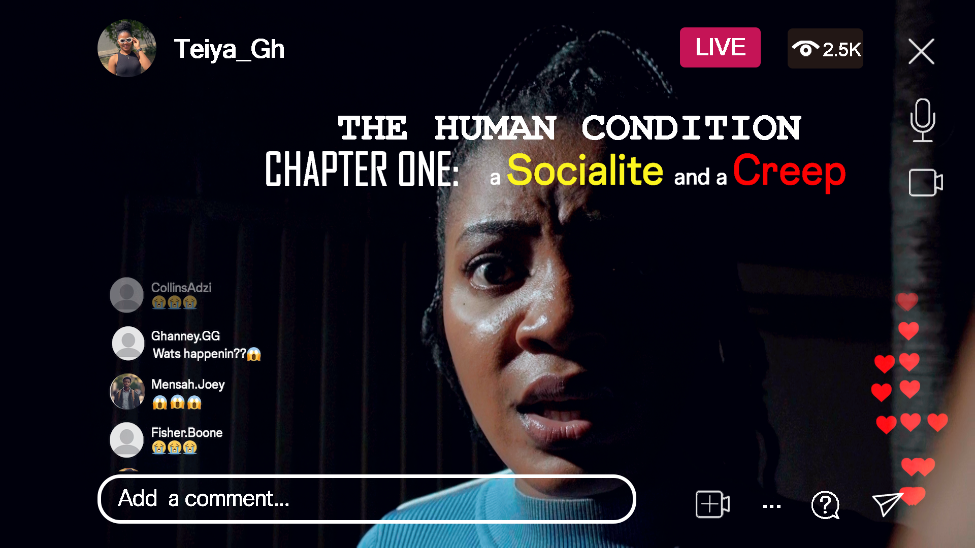 The Human Condition Series